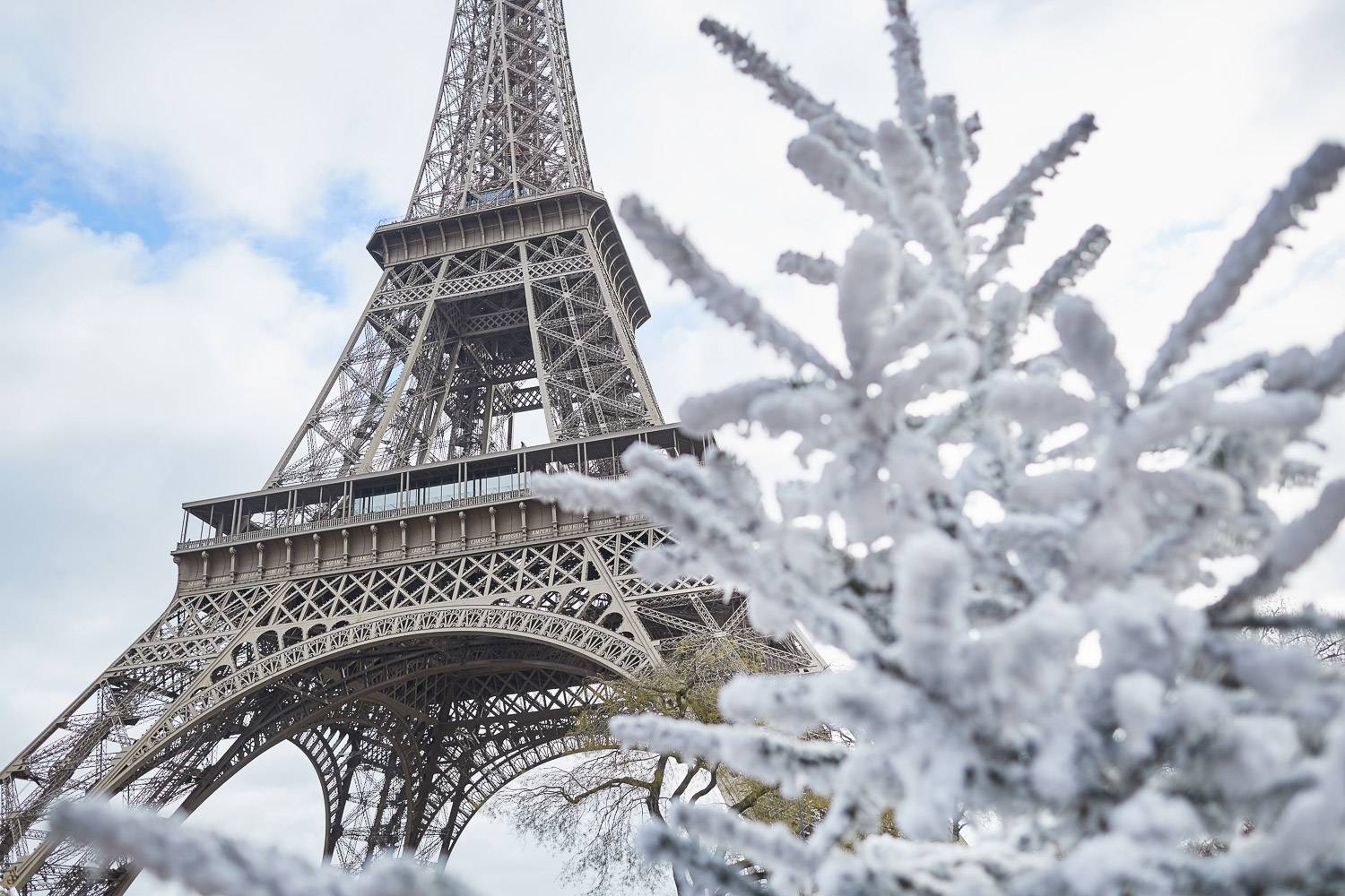 Auf der Wunschliste: Weihnachten in Paris 