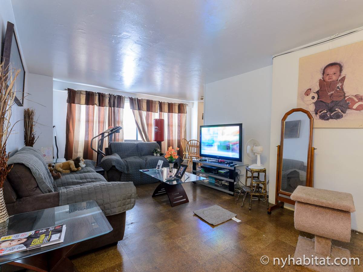 New York Roommate Room for rent in Crown Heights 3 Bedroom apartment