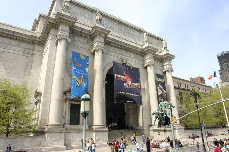 New Yorks Museum Of Natural History Must See Winter Exhibits New York Habitat Blog 4943