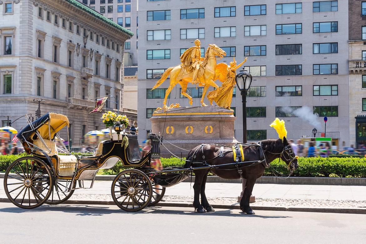 Can Horse Carriages Ever Really Be Romantic? - One Green Planet