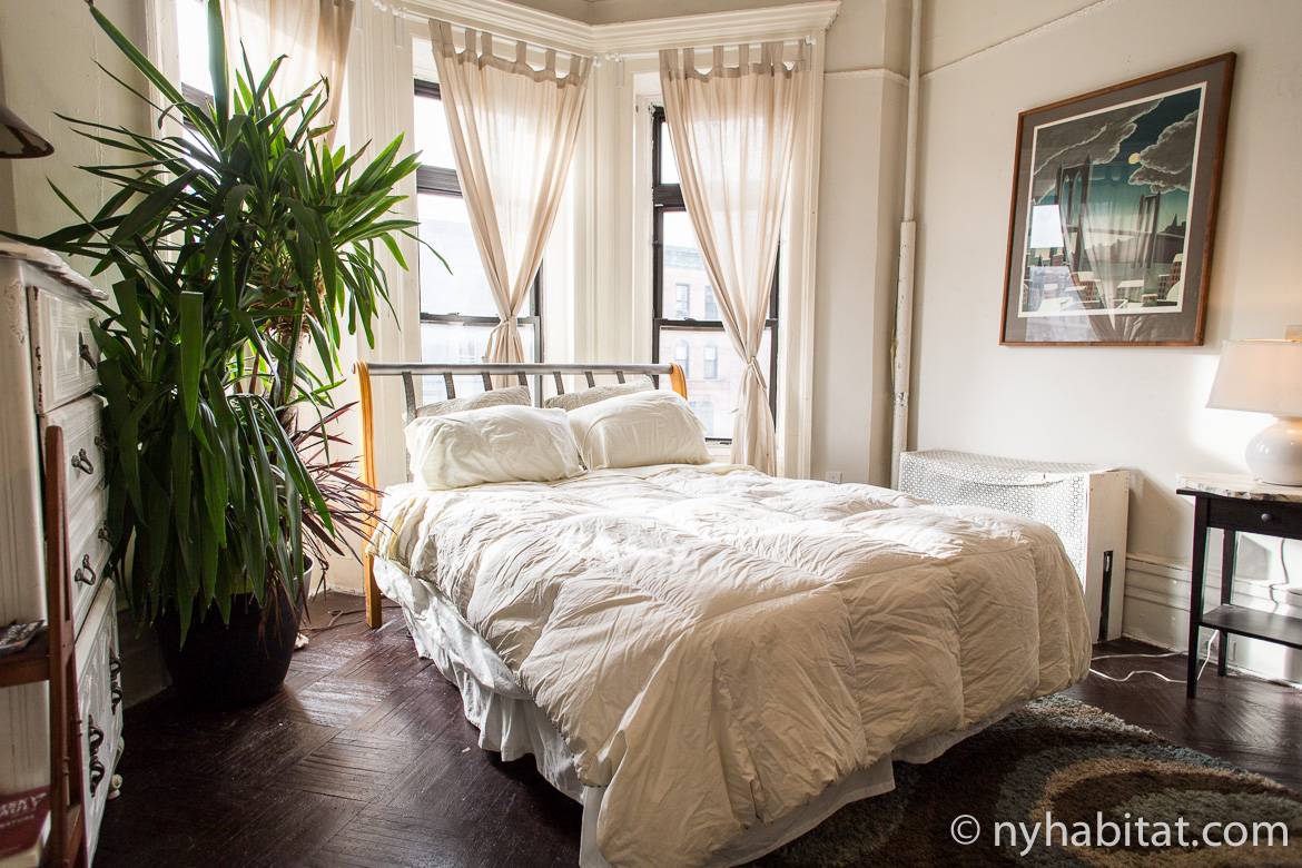 Live Like a Local in Crown Heights New York Habitat Blog