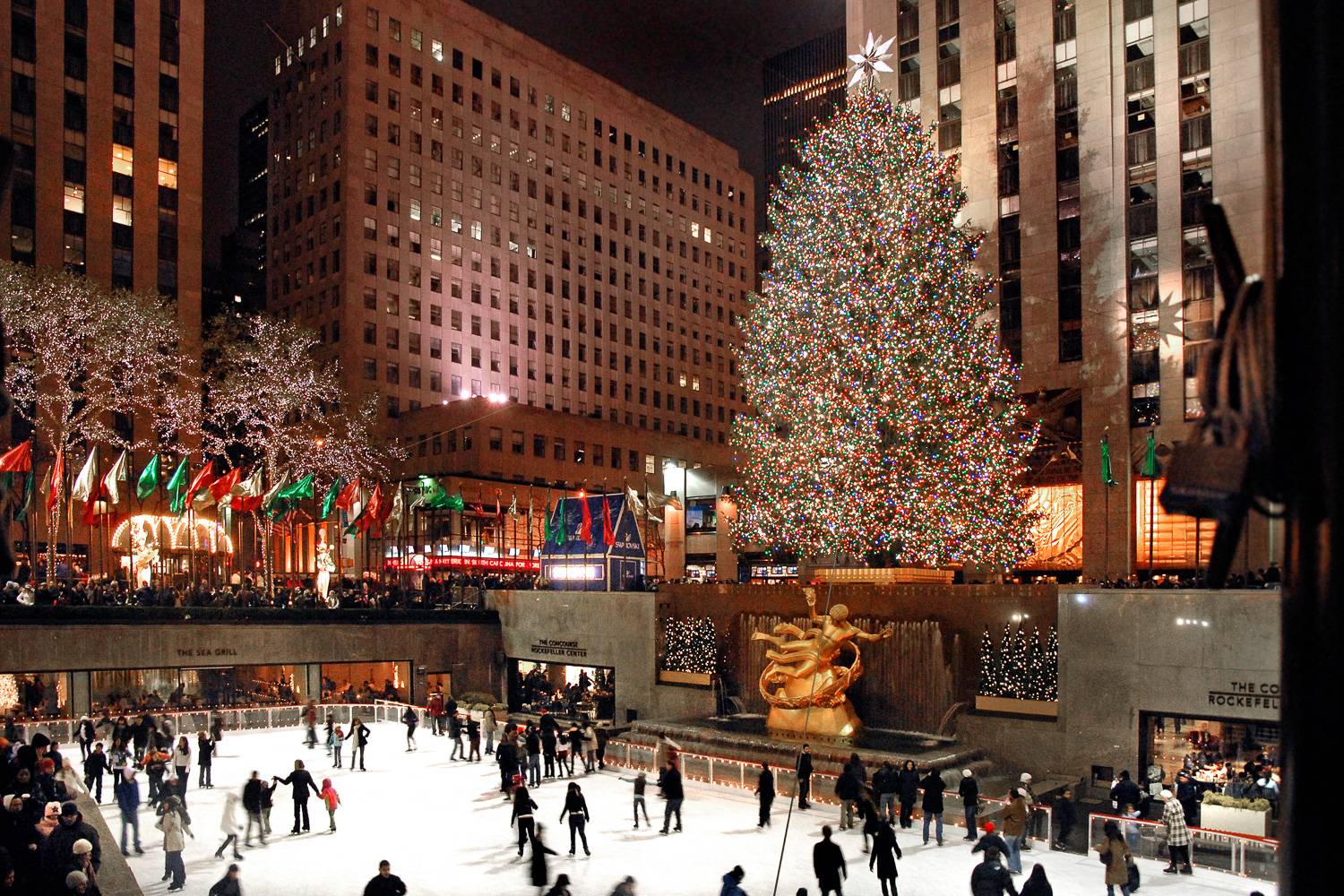 Winter Guide: Every Delightful Thing to in New York City - York Blog