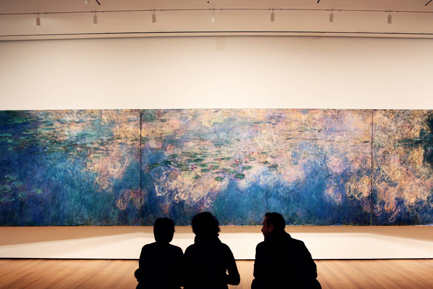 Creart adulto monet, le ninfee