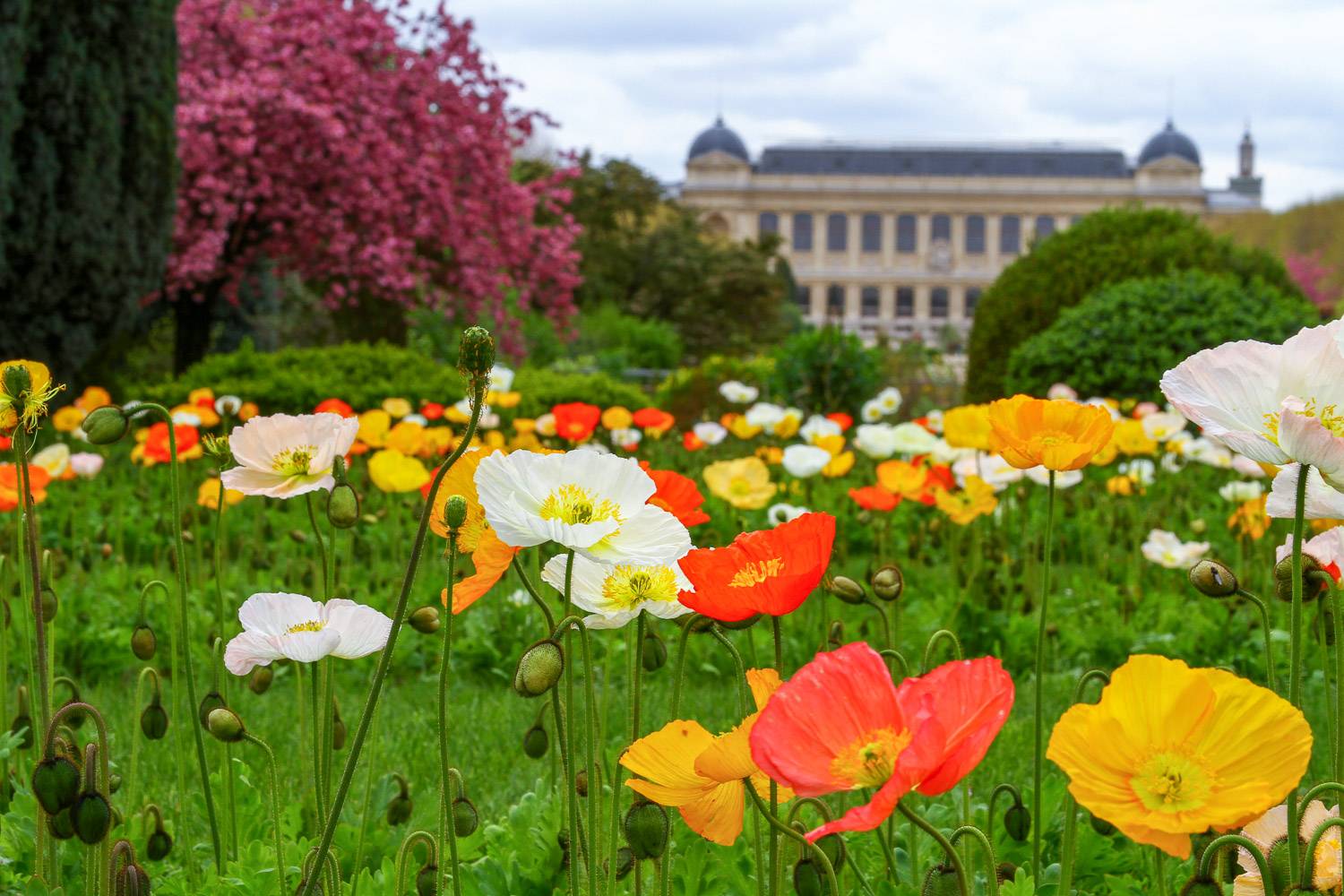 7 Ways To Enjoy Paris In The Spring New York Habitat Blog