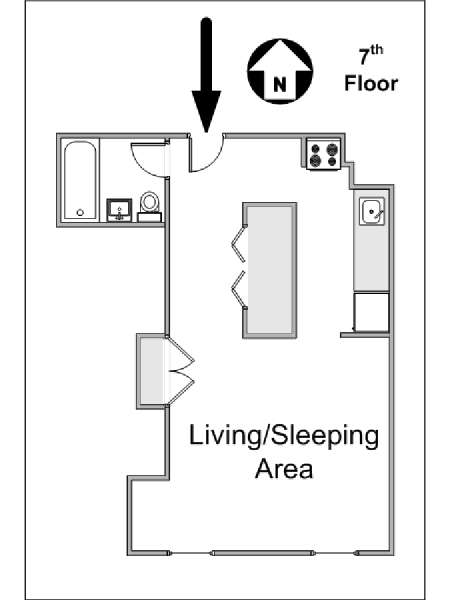 New York Studio apartment - apartment layout  (NY-14470)
