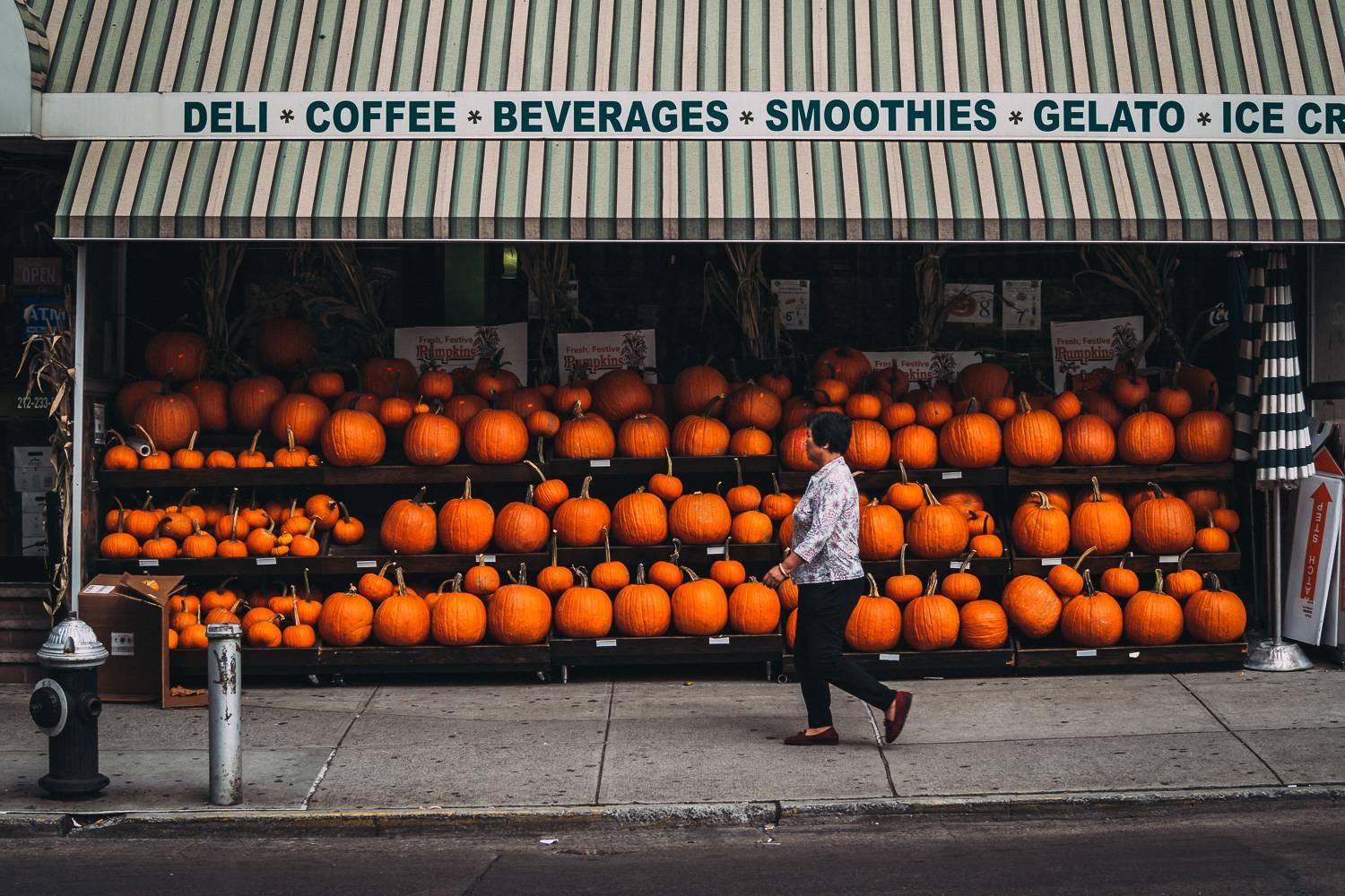 Profitez D’un Automne à New York Avec Notre Guide Le Blog De New York Habitat