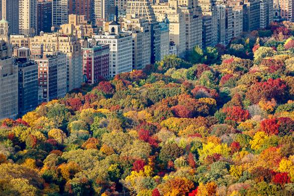 Alcune Delle Cose Migliori Da Fare In Autunno A New York Il Blog Di New York Habitat