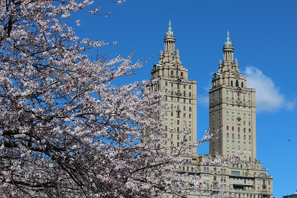 La primavera a New York è anche la stagione delle lauree : Il Blog di New  York Habitat