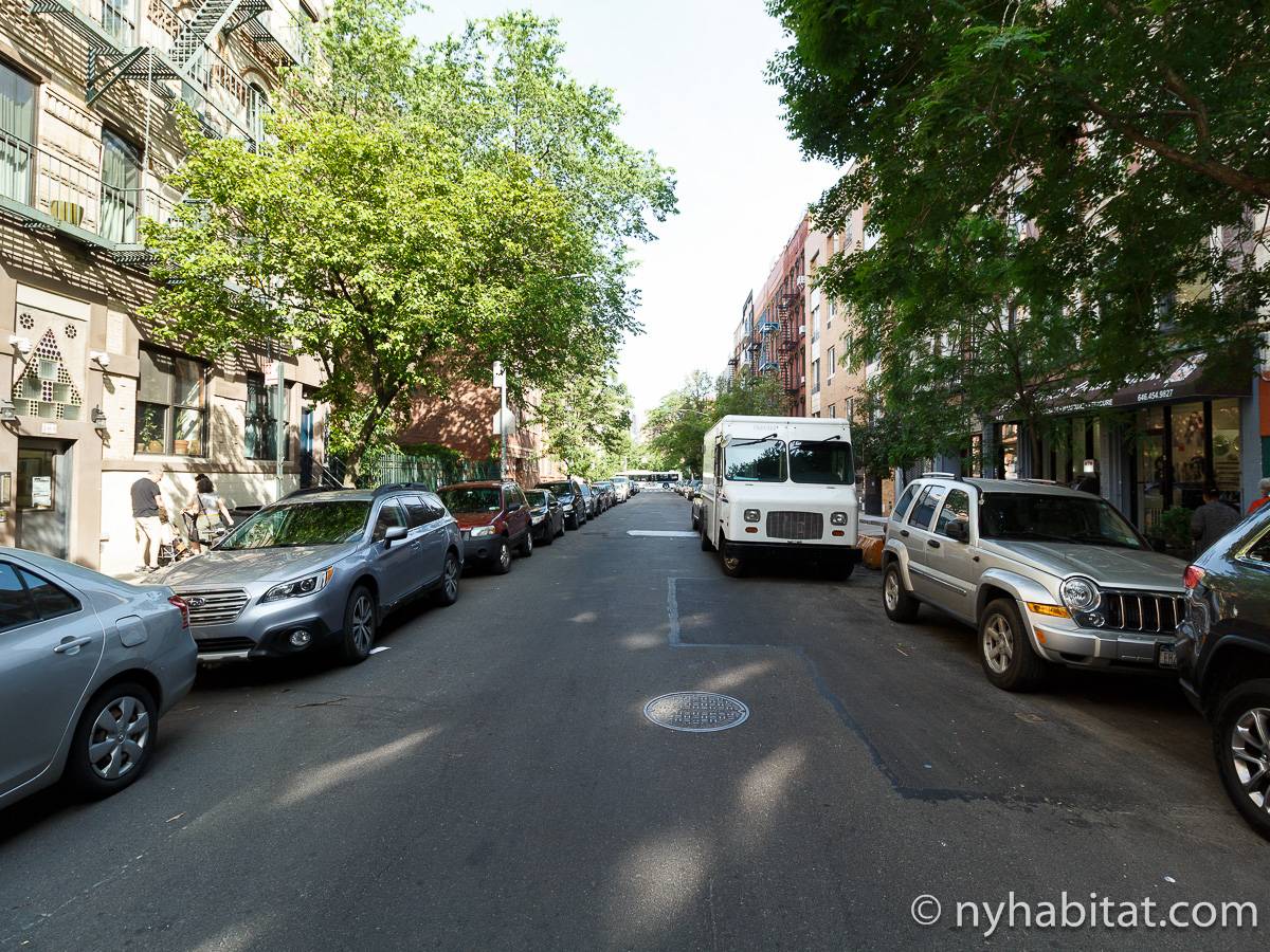 New York Apartment: 1 Bedroom Apartment Rental in East Village (NY-12435)