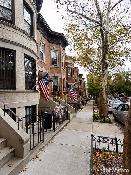 Windsor Terrace Rental