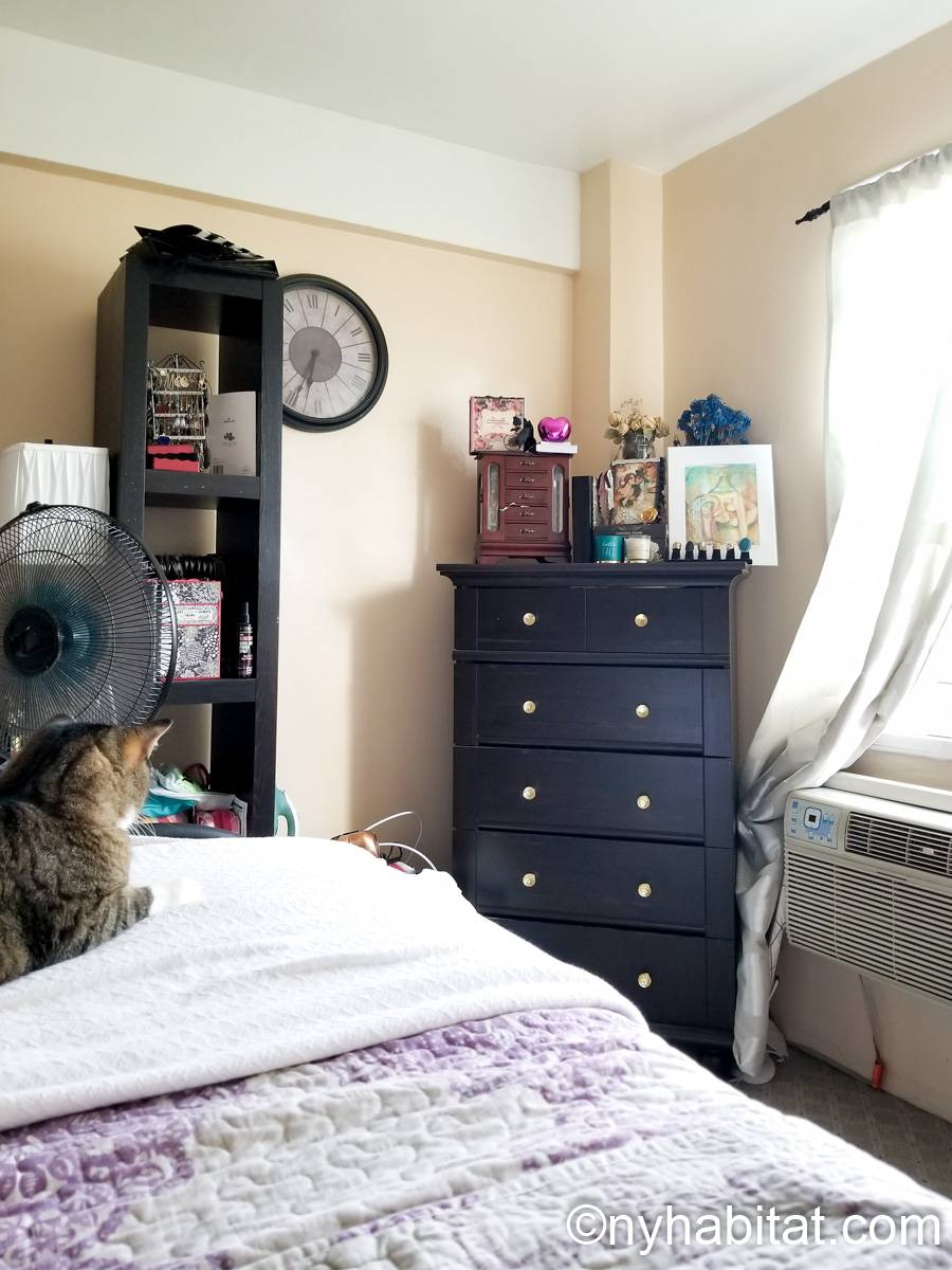 New York Roommate: Room for rent in Jamaica, Queens - 2 ...