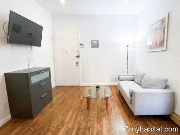 New York - 1 Bedroom apartment - Apartment reference NY-18924