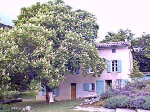 Sud de la France Saint-Saturnin-ls-Apt, Provence - T7 appartement location vacances - Appartement référence PR-118