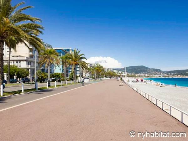 Other - Photo 3 of 3 Other - Photo 3 of 3