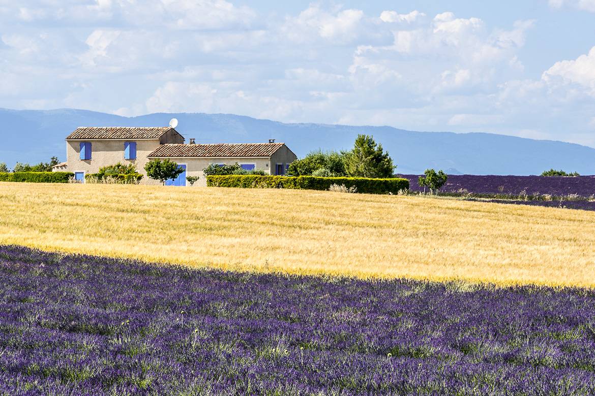 Souvenires artesanales para traer de Provenza, Francia - El blog de New  York Habitat