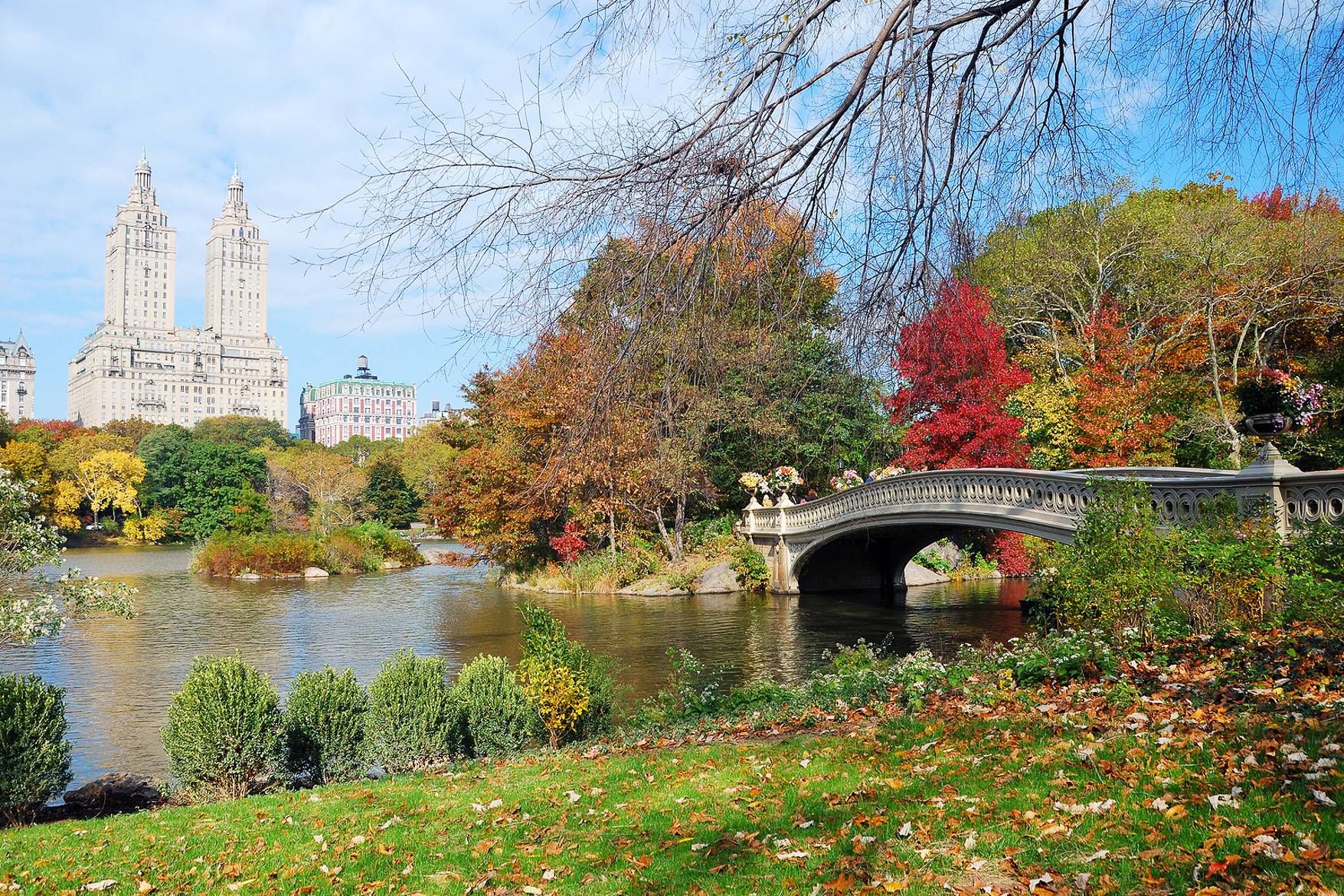 Las 10 mejores actividades para hacer con los niños durante el otoño en Nueva  York - El blog de New York Habitat