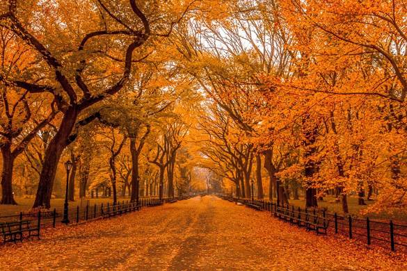 Formas de pasar el otoño al aire libre en Nueva York - El blog de New