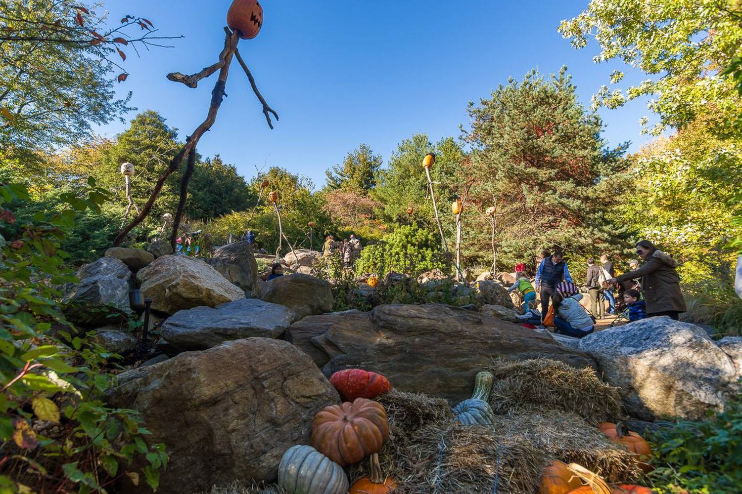 patrones fáciles de tallar calabazas de dinosaurios