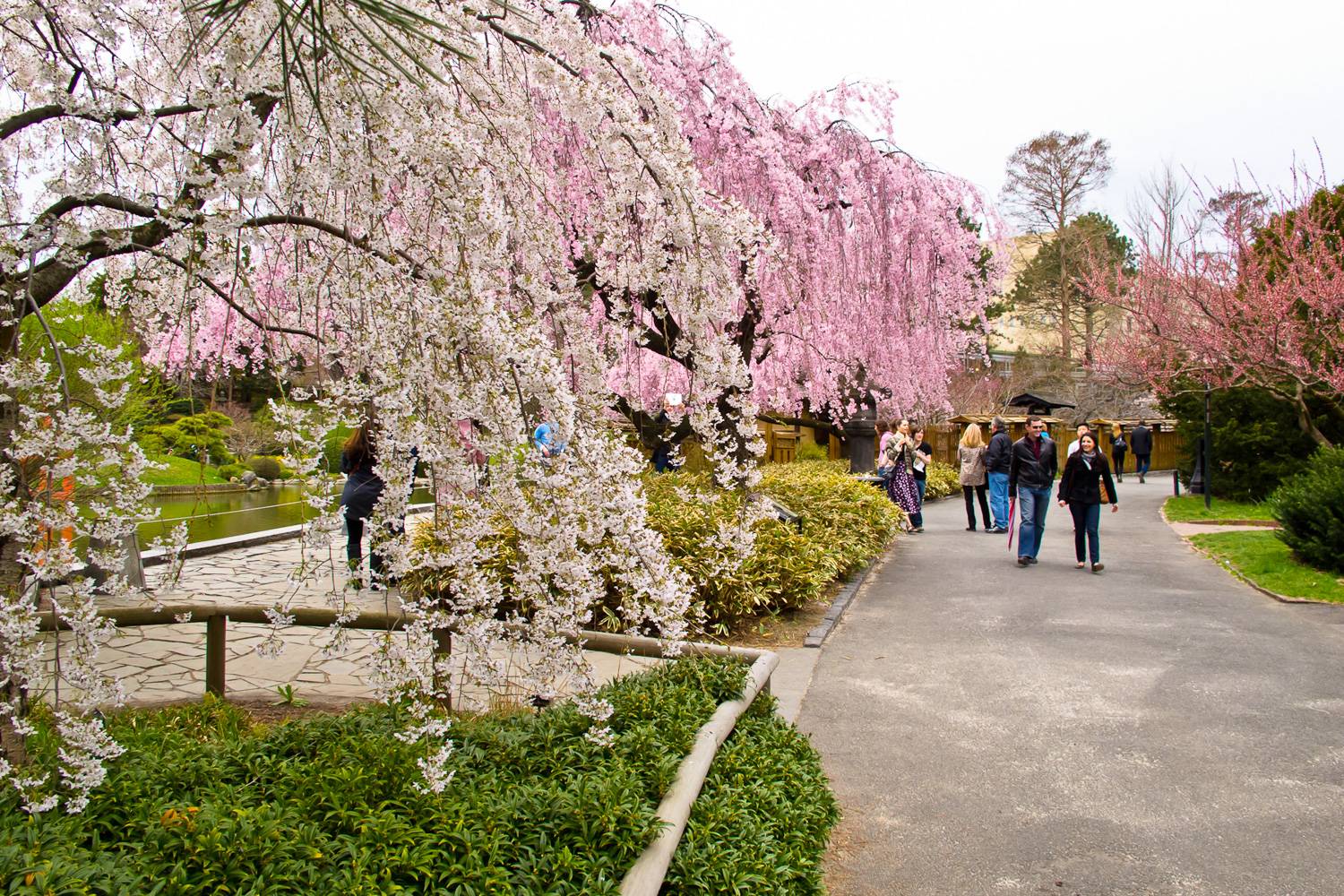 Botánico York Nueva Jardín De